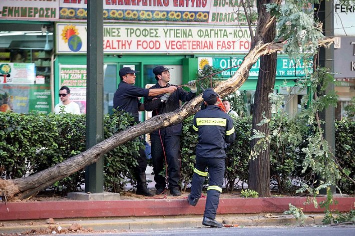Παπάγου: Νεκρός ο εργαζόμενος στη καθαριότητα που καταπλακώθηκε από δέντρο