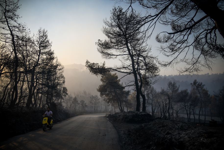 ΕΥΒΟΙΑ ΨΑΧΝΑ ΔΙΡΦΥΣ ΟΙΚΟΛΟΓΙΚΗ ΚΑΤΑΣΤΡΟΦΗ Οι εικόνες μιλούν από μόνες τους και δημιουργούν την απόλυτη θλίψη για έναν πρώην πνεύμονα πρασίνου της Ελλάδας