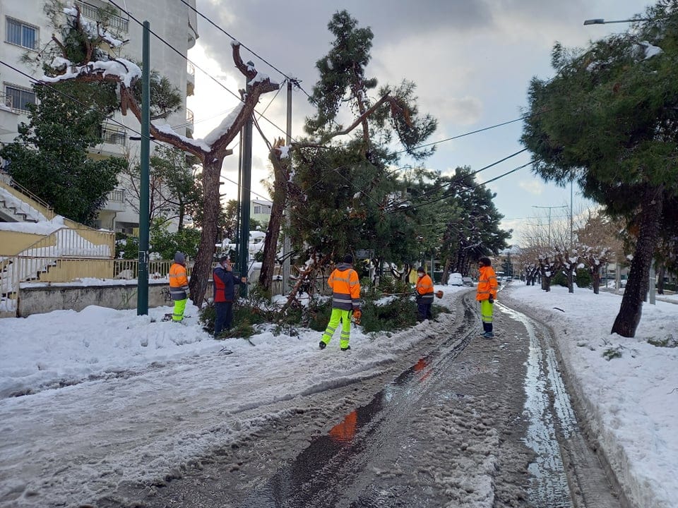 Παπανικολή