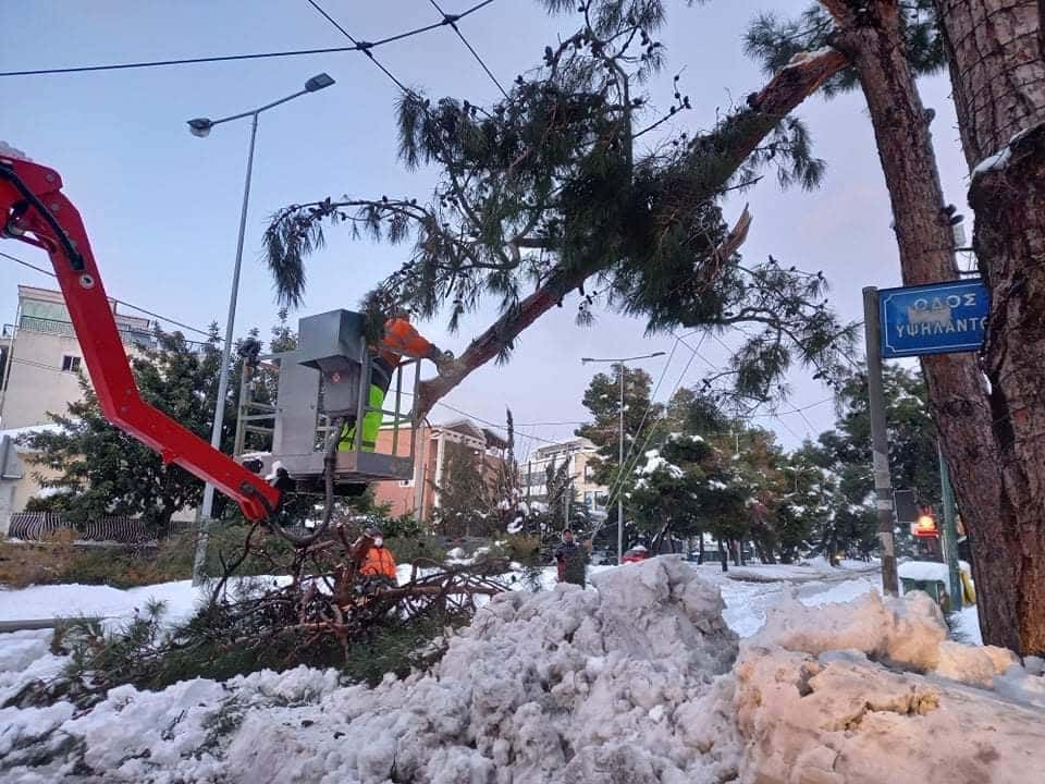 Παπανικολή