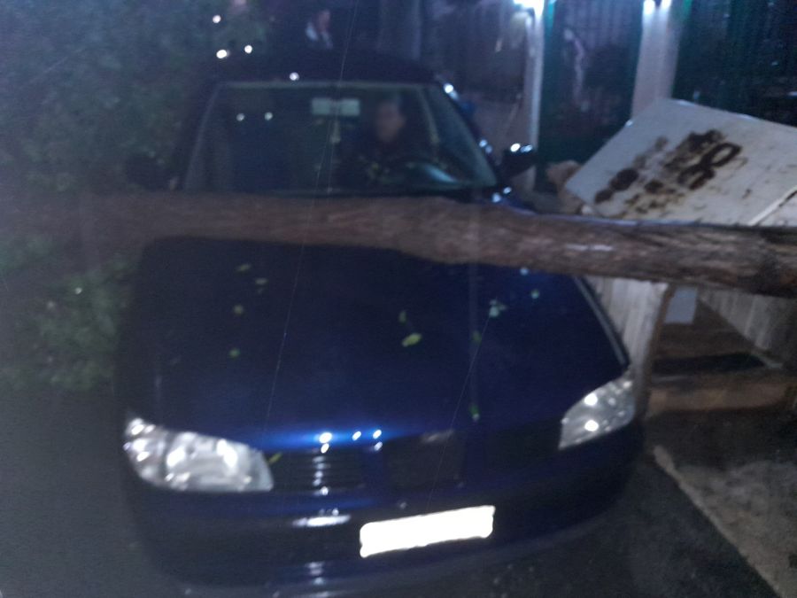 Κρήτη: Κεραυνός ξερίζωσε δέντρο και το έριξε σε αυτοκίνητο – Ήταν μέσα η οδηγός (φωτό)