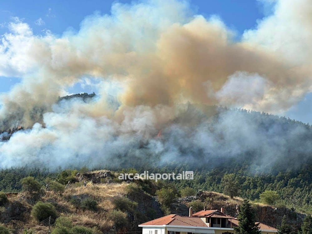 δασική έκταση