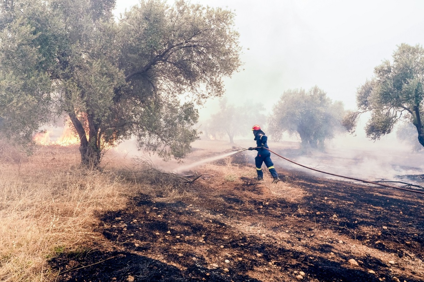 Χίος: Χωρίς ενεργό μέτωπο η δασική πυρκαγιά στο νησί 