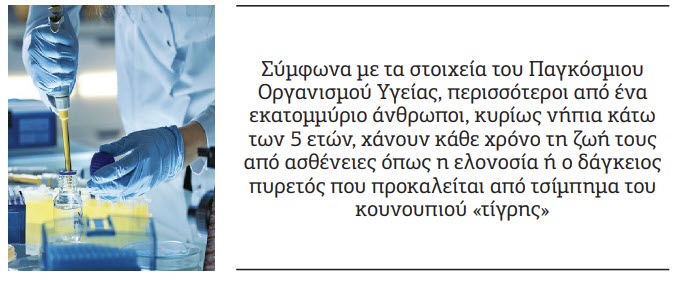 κουνούπια