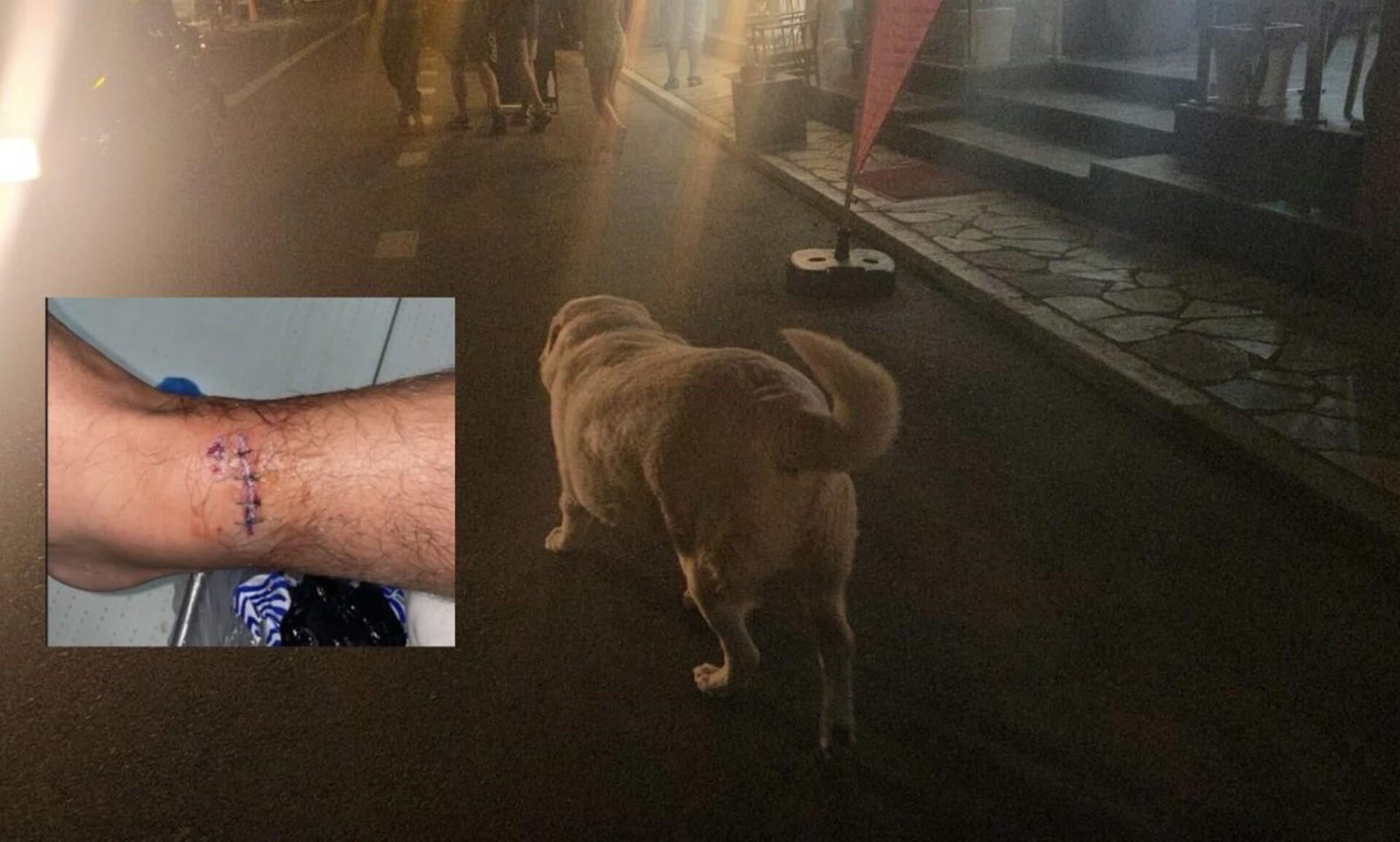 Αγανάκτηση στη Λάρισα - Σκυλί έκανε νέα επίθεση σε περαστικούς