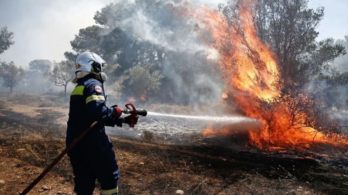 Μεγάλη πυρκαγιά στη Νιγρίτα Σερρών – Κινητοποίηση της Πυροσβεστικής