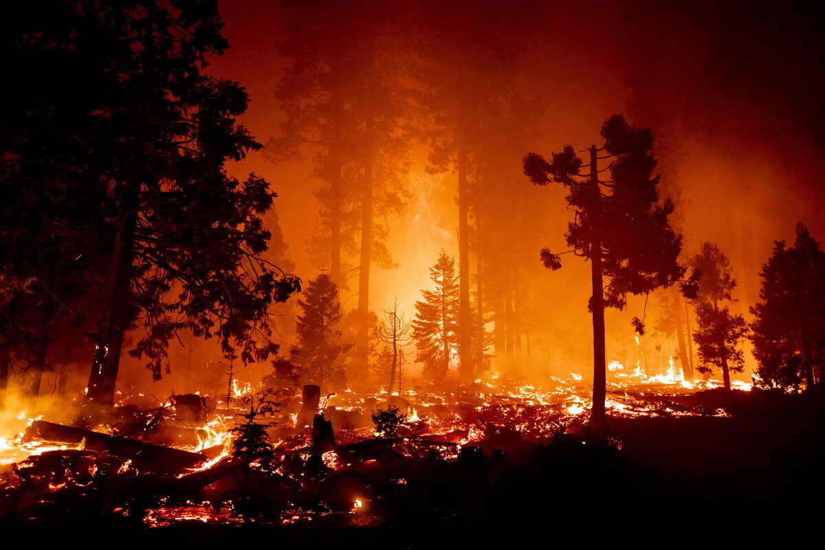 Μεγάλη δασική πυρκαγιά στην Καλιφόρνια